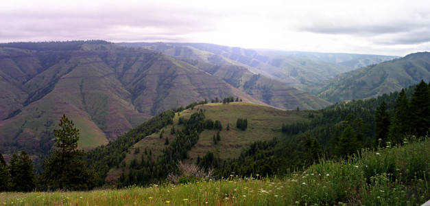 [Two photos stitched together. Deeply scored mountains lead down to nooks and crannies below. Quite a few evergreens, but also quite a bit of land with either no or very little vegetation.]